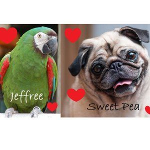 Meet your Posher, Drew